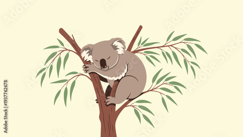 Adorable gray koala peacefully sleeping while clinging to a branch of a eucalyptus tree with many green leaves.