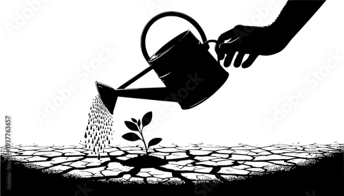 silhouette of a woman