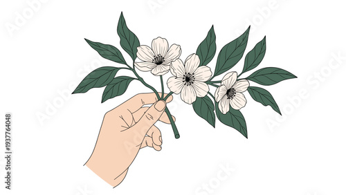 Gentle hand holds delicate branch with white flowers and green leaves symbolizing spring growth and natural beauty.
