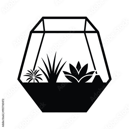Black and white of a terrarium with plants geometric