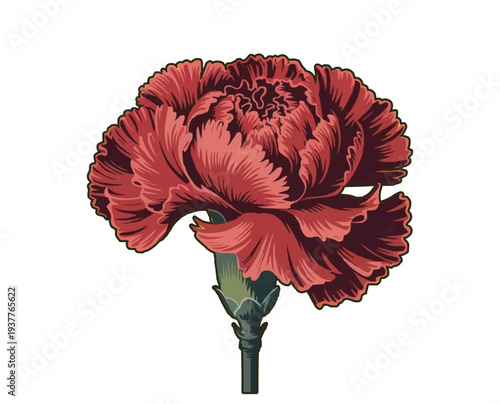 Vintage Red Carnation Flower Vector Illustration, Detailed Floral Emblem on White Background