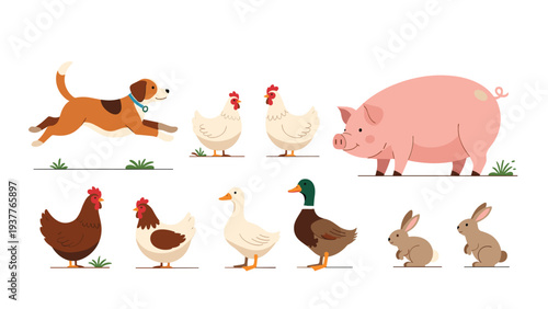 Assorted farm animals including a running dog, chickens, a large pink pig, a duck, and small brown rabbits on a white background.
