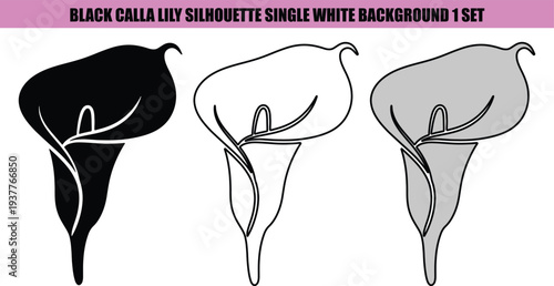Black calla lily silhouette on white background