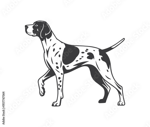 pointer dog graphic design, duck hunting pointer dog vector illustration art
