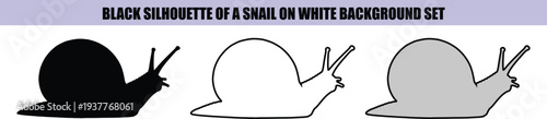 Black silhouette snail on white background