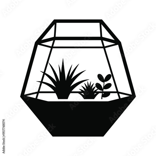 Geometric glass terrarium with plants inside succulents