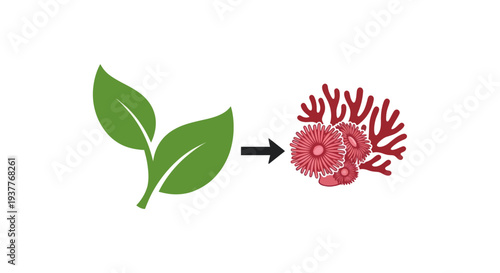 Green leaves transform into coral, symbolizing evolution or change