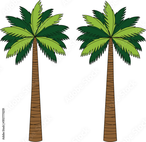 Palm Tree Vector Illustration Set Featuring Tropical Coconut Trees for Summer Beach Landscape, Island Travel, and Nature Design