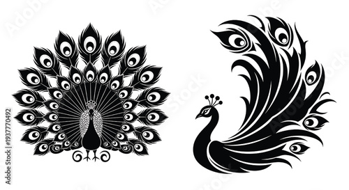 Peacock feather design elements in black and white with decorative curves and eye patterns, showcasing ornate avian beauty.