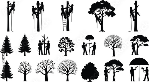Arborist Tree Care Silhouette Set, Professional Lumberjack Pruning and Climbing, Forestry Service Woodcutter Icons, Garden Maintenance Vector Illustration, Timber Industry Symbols