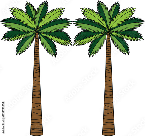 Palm Tree Vector Illustration Set Featuring Tropical Coconut Trees for Summer Beach Landscape, Island Travel, and Nature Design