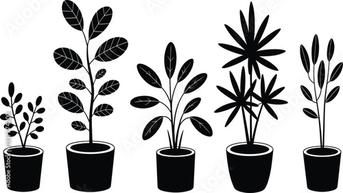 Indoor house plants in pots silhouettes collection, home garden greenery vector for interior design decor and botanical stock media