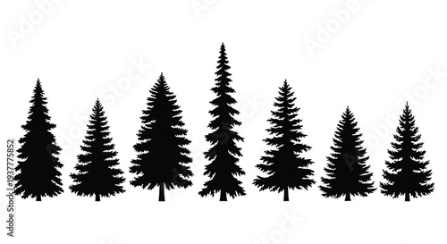 A silhouette of several evergreen trees in varying heights and shapes