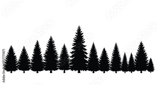 A silhouette of coniferous trees forming a forest landscape