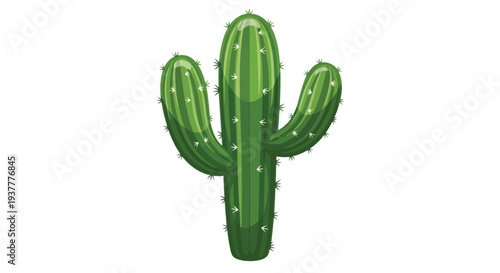 A vibrant green saguaro cactus illustration on a white background