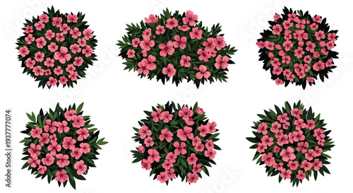 Six circular arrangements of vibrant pink and green flowering bushes