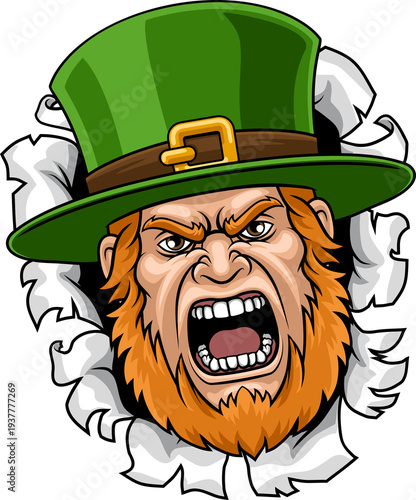 A leprechaun Celtic Irish h...