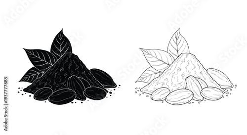 Detailed illustration of cocoa beans and pods in black and white