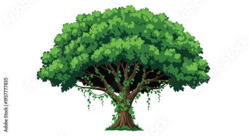 A lush green tree with dense foliage and hanging vines is shown