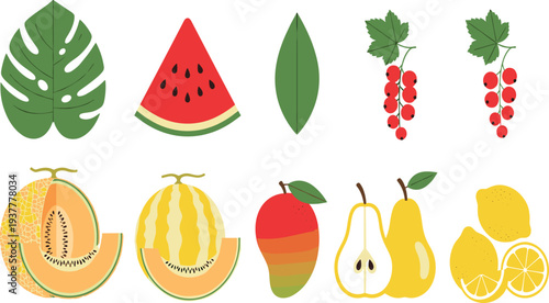 Tropical Fruit and Leaf Collection with Watermelon, Melon, Mango, Pear, Lemon, and Botanical Elements for Healthy Food Vector Illustration Set.