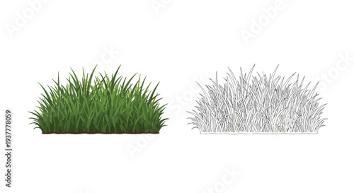 Illustration of green grass and its monochrome sketch counterpart