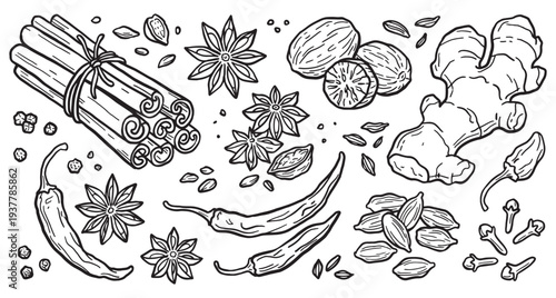 Hand Drawn Spice and Herb Line Art Set Cinnamon, Ginger, Chili Pepper, Star Anise and Aromatic Seasoning Illustration