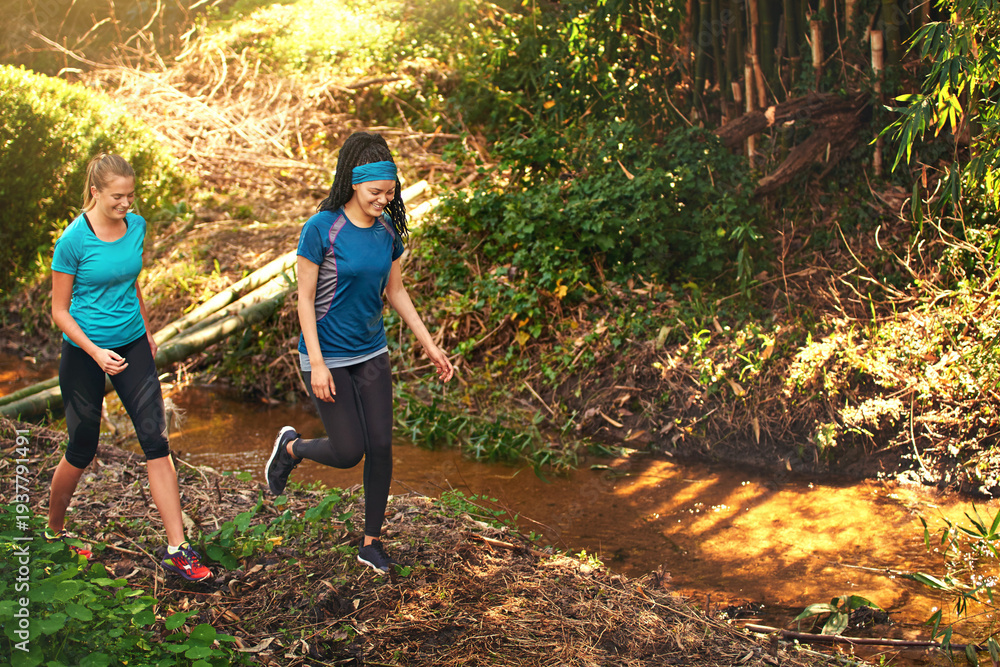 Obraz premium Hiking, space and walking with women in forest together for adventure, fitness or trekking activity. Above, exercise and nature trail with happy friends outdoor for backpacking hobby or journey