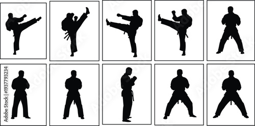 Silhouette martial artist stances in framed sequence, black and white vector illustration symbolizing discipline, technique, variety, and martial arts training concepts