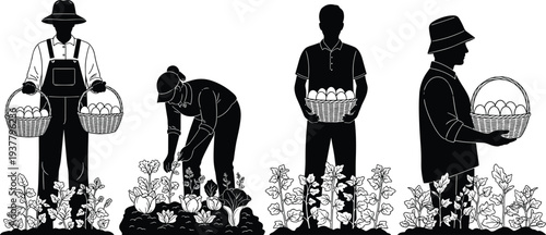 Set of Black Silhouette Vector Illustrations Featuring Four Farmers Harvesting Crops and Carrying Baskets for Agriculture Farming and Organic Food