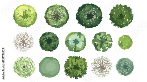 Artistic top view tree symbols for site map and landscape project representation in soft watercolor