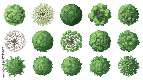 Set of various trees top view in green color for architectural and landscape plans