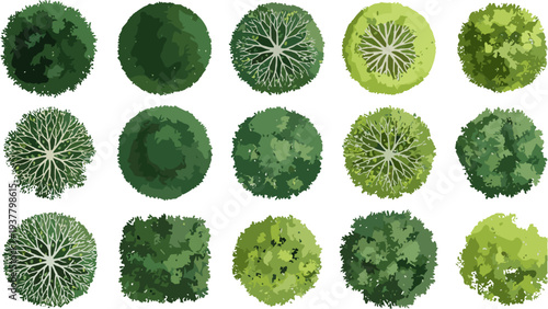 Set of green overhead tree illustrations for landscape masterplan and architectural graphic layout