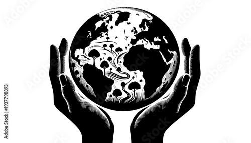 human skull in the shape of a skull