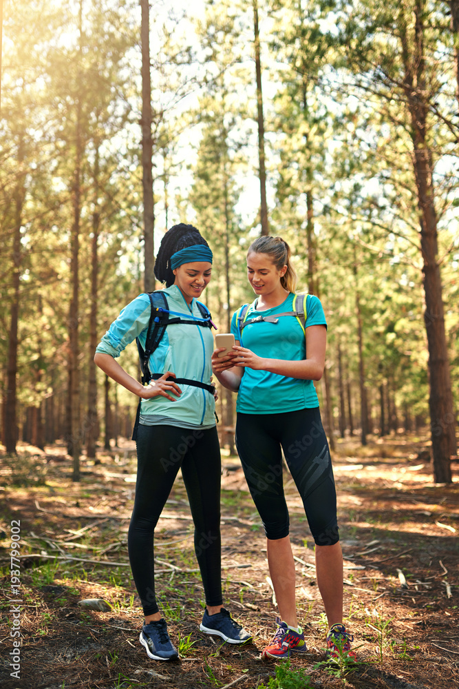Fototapeta premium Women, fitness and hiking with phone in forest for location, destination or navigation together. Active, female people or friends with mobile smartphone for direction, tracking app or path in nature