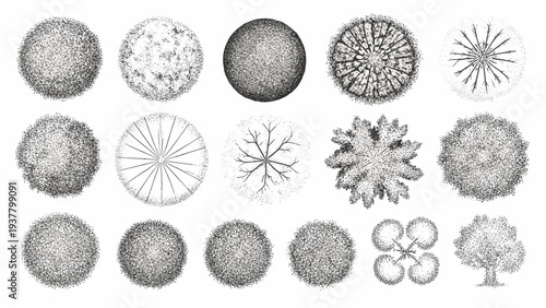 Collection of top view tree drawings using stippling technique for detailed textures