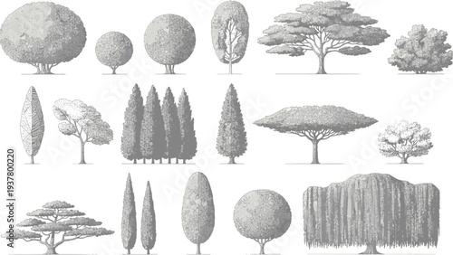 Set of various tree silhouettes and garden landscape design elements isolated on white background