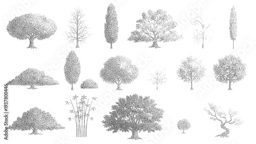 Set of various trees for landscape or architectural plan. hand drawn vector illustration