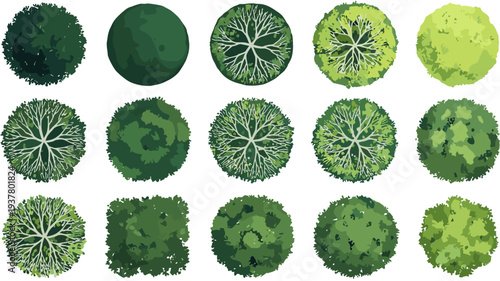 Vegetation plan view collection with green tree canopy icons for architectural landscape site design