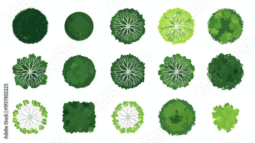 Top view tree collection for landscape architecture and garden design planning vector icons set flat