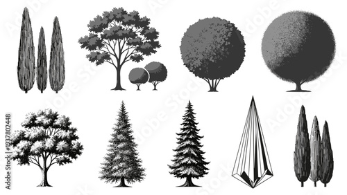 Collection hand drawn trees and geometric shapes for architectural renderings landscape design graphic projects