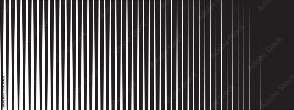 Obraz premium Vertical stripe transition with thick to thin parallel lines. Monochrome background. 