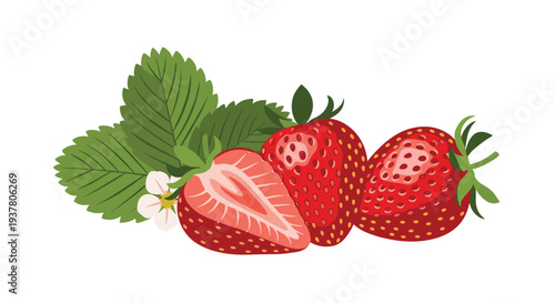 Fresh and juicy strawberries, including a whole one, a half-cut one, and one with a flower and leaves on a branch.