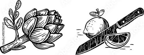 Vintage sketch of artichoke and lemon with kitchen knife for culinary design