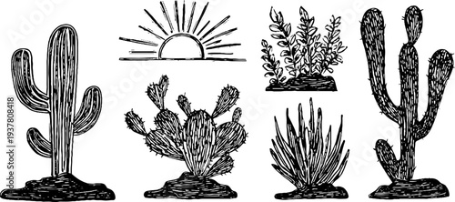 Desert wilderness elements: skull, cactus silhouette, and blazing sun rays illustration