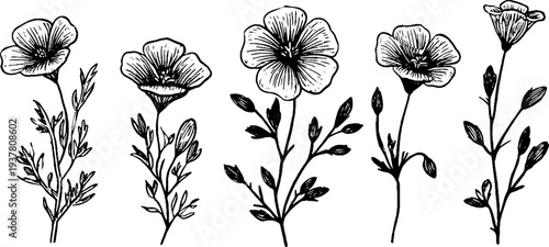 Vintage sketch of flax flowers and spindle tool with stems for retro design