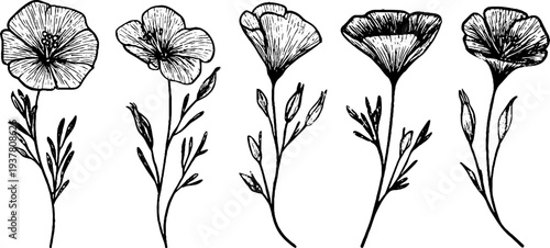 Vintage flax flowers and spindle tools design for print and decor