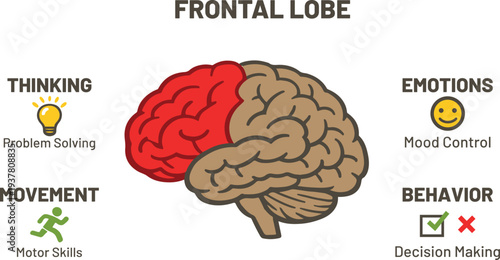 Frontal Lobe Brain Infographic with Thinking, Emotions, Movement and Behavior Icons – Human Brain Functions Education, Neuroscience Diagram for Medical, Psychology and Learning Materials