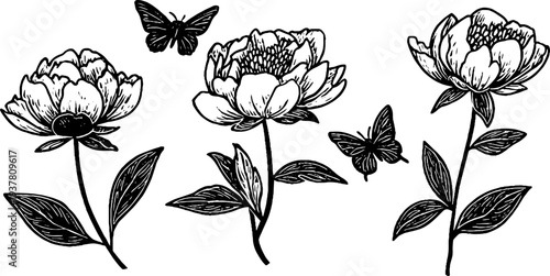 Vintage botanical peony flowers with butterflies and leaves sketch - retro design for prints and posters