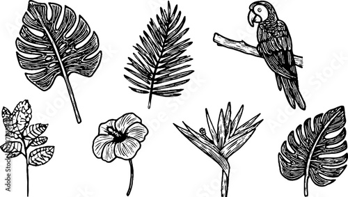Tropical palm leaves and parrot with exotic flowers sketch for design
