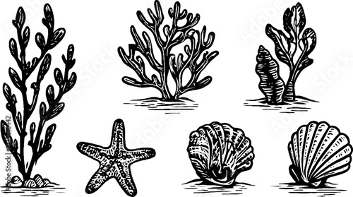 Vintage underwater coral reef and seashell collection for ocean-themed design